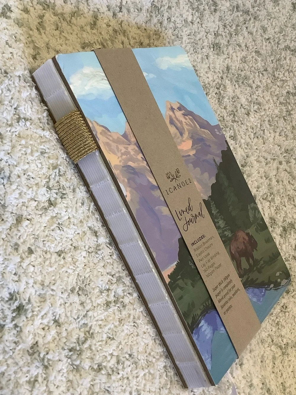 Scenic Mountain & Bison Lined Travel Vacation Camping Journal NWT 160pgs